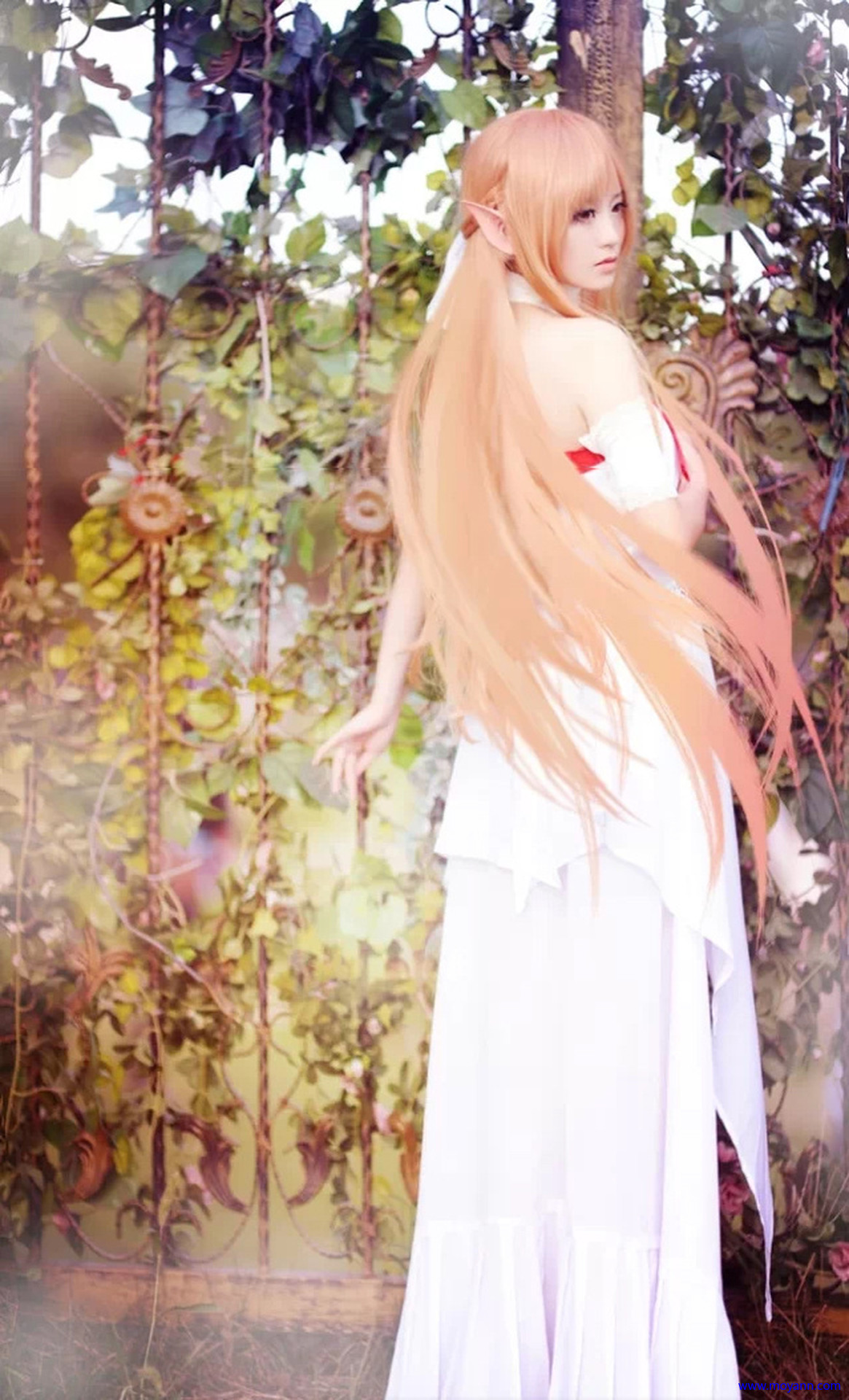 65